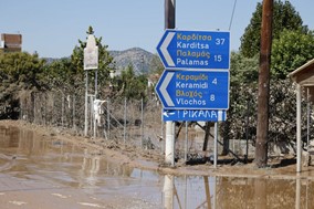 Στον Παλαμά τα μισά κουφάρια των ζώων είναι ακόμα στους δρόμους